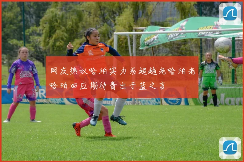 网友热议哈珀实力或超越老哈珀老哈珀回应期待青出于蓝之言